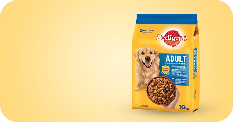 Dog Food