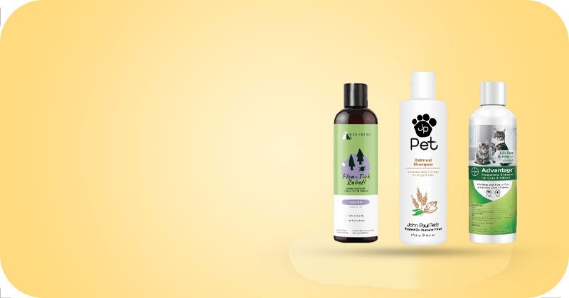 Cat Shampoo